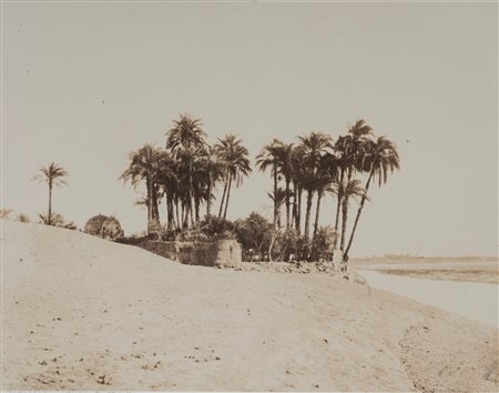 Félix Teynard (1817 - 1892)  - Louksor. Dattiers et Jardin de l'Expédition, 1851