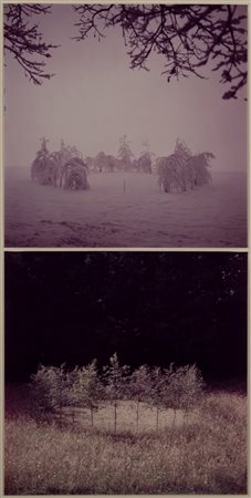 Nils Udo (1937)  - Hungerwiese Erde, Birken, Gras, 1975