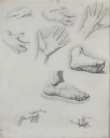 Pittore Purista del XIX secolo Studi di piedi e di mani Matita su carta mm...