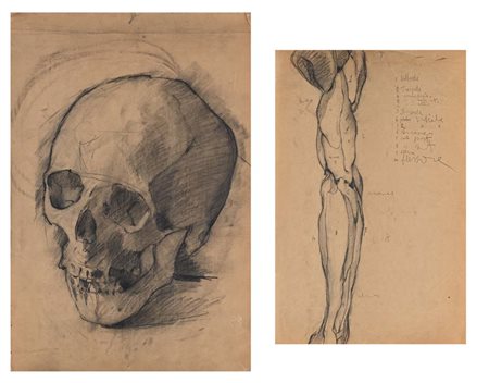 Anto Ricci Studio di Teschio - Studio anatomico di gamba Matita su carta mm...