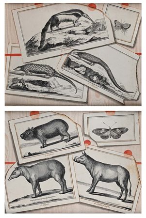 Scuola francese del XIX secolo Coppia di trompe l'oeil China, inchiostro...