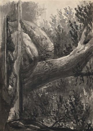 Charlotte-Napoléone Bonaparte Veduta lacustre Inchiostri acquerellati su...