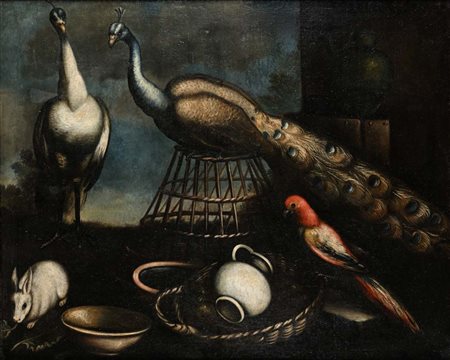 Pittore del XVIII secolo Natura Morta con due pavoni olio su tela cm...