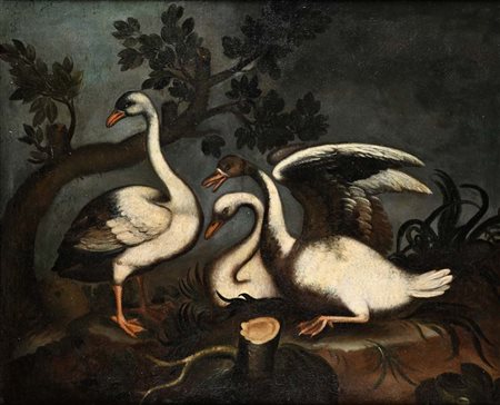 Pittore del XVIII secolo Natura morta con cigni olio su tela cm 112,5x139,5 -...
