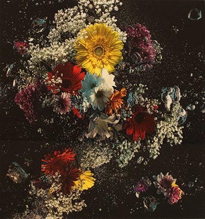 ANDREA CICALA POZZUOLI, "Flowers in the dark", 2014