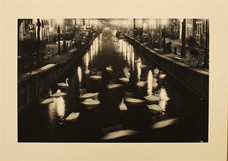 THOMAS SALME, "Swan Dance", anni 2000