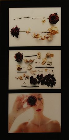 SARA PIAZZA, "lieve-MENTE", anni 2000