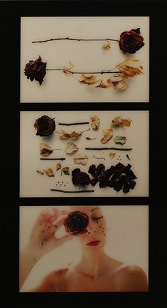 SARA PIAZZA, "lieve-MENTE", anni 2000