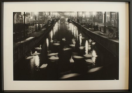 THOMAS SALME, "Swan Dance", anni 2000