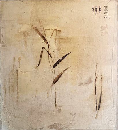 Piero Pizzi Cannella, Fiori secchi, 2009