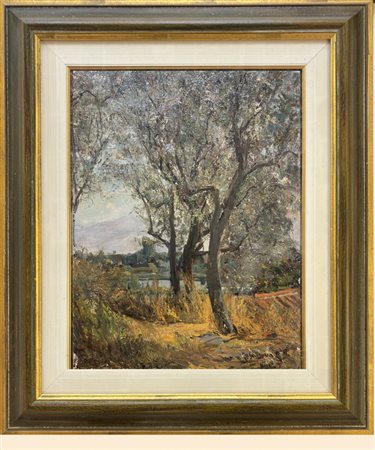 Carlo Casanova, Crema (CR) 1871 - Quarna sotto (VB) 1950, Ulivi in Garfagnana