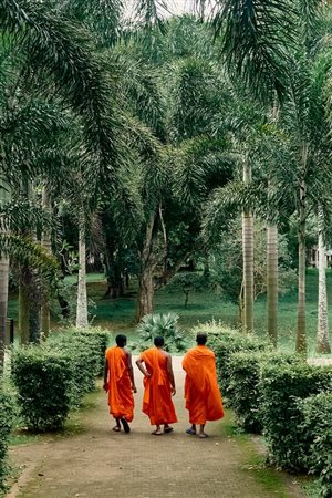 Stefano Delìa (Italia, 1984 - ) 
Towards, Sri Lanka, 2025 
 Paper Size 21 x 29,7 cm  Image size: 18,6 x 28 cm