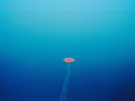 Mirei (Italy, 1972 - ) 
Life buoy 
 Paper Size 21 x 29,7 cm  Image size: 20,3 x 27,4 cm