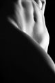 Opere grafiche e fotografie del XX secolo - Web Only
