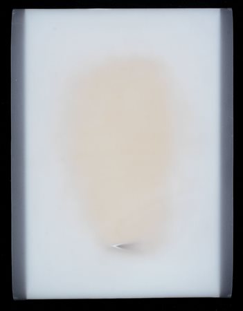 PAOLO RADI Roma 28/03/1966 Emerso, 2003 PVC, acrilico e legno su tavola cm....