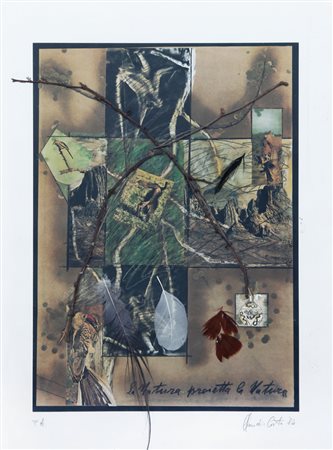 CLAUDIO COSTA Tirana (Albania) 22/06/1942 - Genova 1995 La natura proietta la...