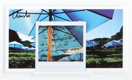 MAURIZIO GALIMBERTI Milano 1956 Christo ready made affezione n. 16 del...