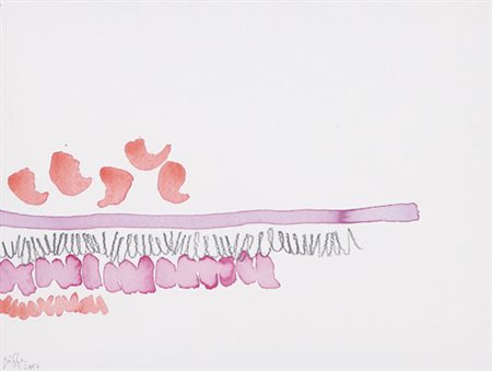 GIORGIO GRIFFA Torino 29/03/1936 Senza titolo, 2007 acquerello e matita su...