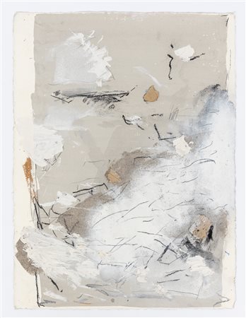MARCO GASTINI Nature 1, 1992