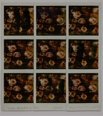 MAURIZIO GALIMBERTI Studio Flowers, 2017