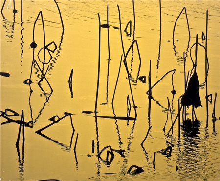 Huang Kehua 
Senza titolo, 2010
