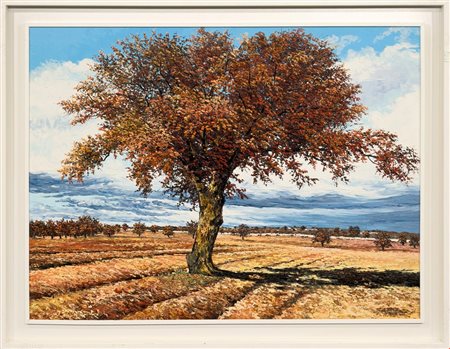 Michele  Carpignano  
La grande quercia, 2006
