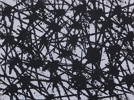 SERGIO RAGALZI, "Insetti", 1995