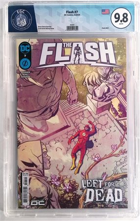  
Flash #7 
 