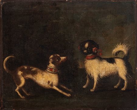 Scuola italiana, secolo XVII - Due cagnolini che giocano