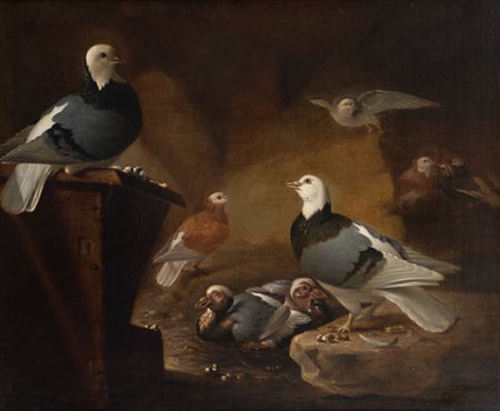 Wouter Uytter-Limmige (Dordrecht 1730 - 1784)  - Piccioni in un interno