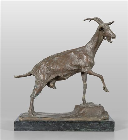 SICCARDI GIUSEPPE/1