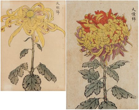 Keika Hasegawa ( - 1900 fl.) 
Crisantemi 1893
 