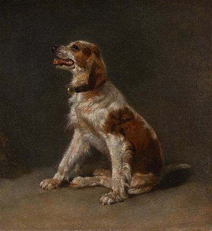 Filippo Palizzi (attribuito a) (Vasto 1818 - Napoli 1899) Cane da caccia olio...