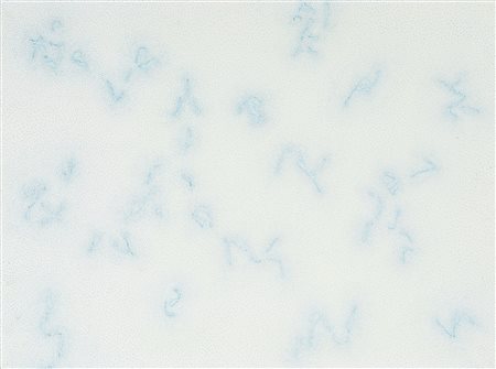 DADAMAINO
Costellazioni, 1984
