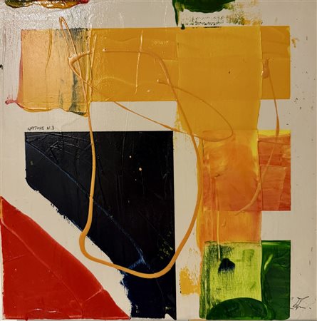Federico Verdiani, Nature n.3