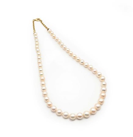 Collana di perle e oro Oro giallo 750/000. Perle da coltivazione mm. 8/11...