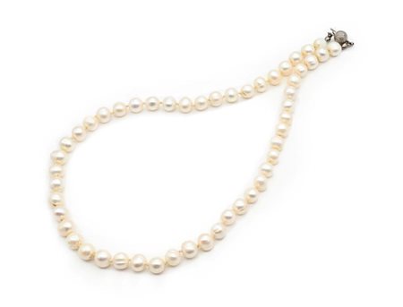 Collana di perle ed oro. Oro bianco 750/000. Perle da coltivazione in acqua...
