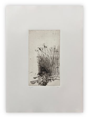 GIUSEPPE ZIGAINA (1924-2015) - Senza Titolo (Uccello nell'erba), 1978
