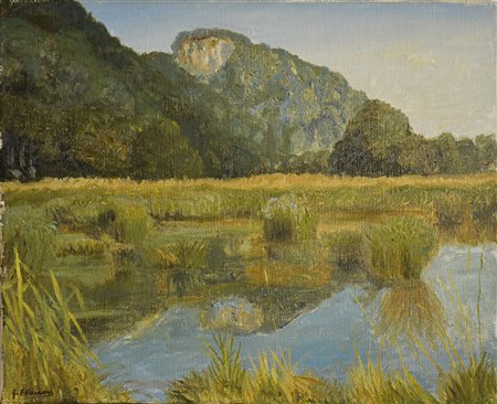 F. GIORGIO VACCARI, Lo stagno