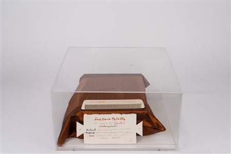 Luca Maria Patella (Roma 1934 - 2023)  - La logica del gusto (eterovegetale) - Omaggio a Duchamp