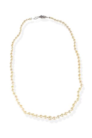 COLLANA