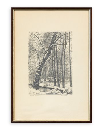 EMILIA NOVARESE - Nevicata al parco