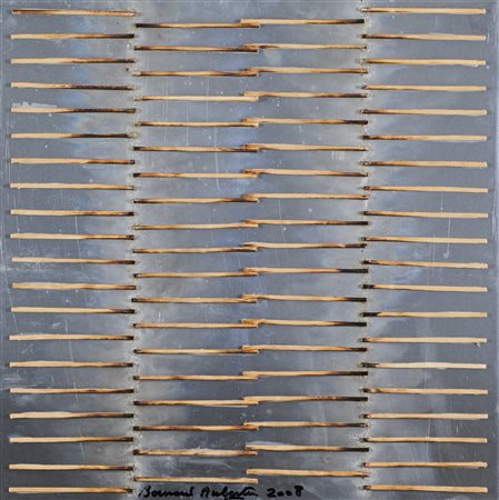 Bernard Aubertin, Senza titolo 2008