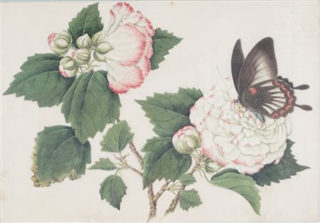 Scuola del secolo XIX - Fiori e farfalla