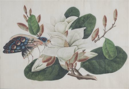 Scuola del secolo XIX - Fiore e farfalla