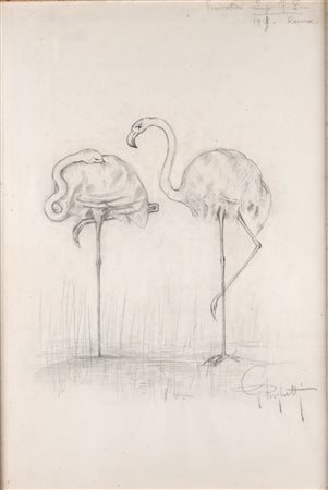 Guido Righetti (Milano 1875 - 1958)  - Studio di fenicotteri – Roma, 1919