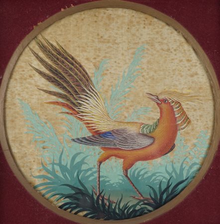 Ambito di Carlo Antonio e Vittorio Raineri, 1820 circa - Uccelli esotici