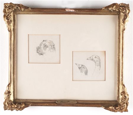 Luigi Rossi (Cassarate 1853 - Tesserete 1923)  - Studi per animali