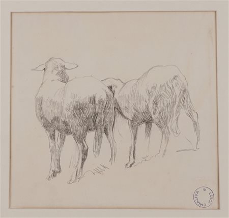 Luigi Chialiva - Studio di pecore