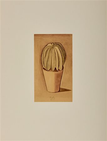 MORANDI GIORGIO (1890 - 1964) - CACTUS (DAL VOLUME GIORGIO MORANDI 50 DISEGNI DI MORANDI - 50 TAVOLE).